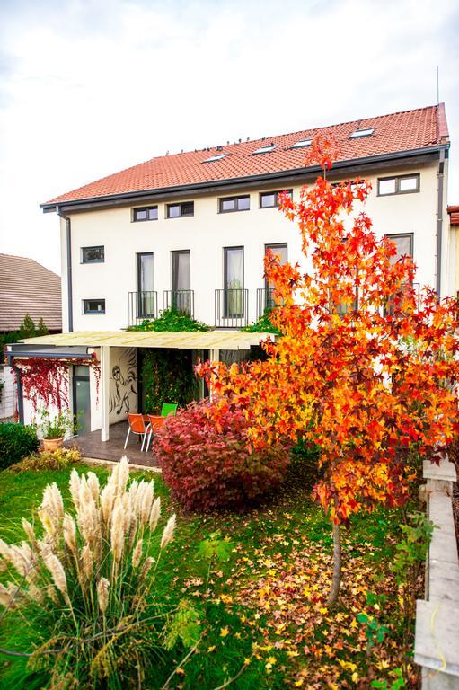 May Residence Dumbravita  Zewnętrze zdjęcie